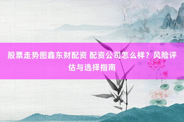 股票走勢(shì)圖鑫東財(cái)配資 配資公司怎么樣？風(fēng)險(xiǎn)評(píng)估與選擇指南