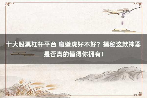 十大股票杠桿平臺(tái) 贏壁虎好不好？揭秘這款神器是否真的值得你擁有！