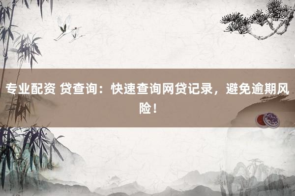 專業(yè)配資 貸查詢：快速查詢網(wǎng)貸記錄，避免逾期風(fēng)險(xiǎn)！