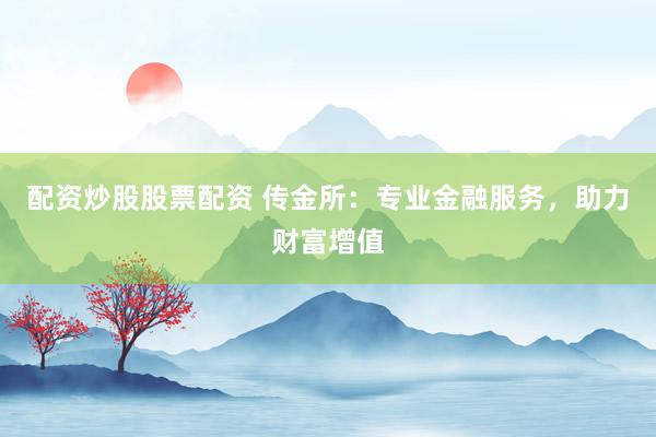 配資炒股股票配資 傳金所：專業(yè)金融服務(wù)，助力財(cái)富增值
