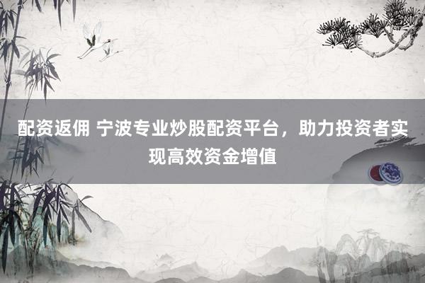 配資返傭 寧波專業(yè)炒股配資平臺，助力投資者實現(xiàn)高效資金增值