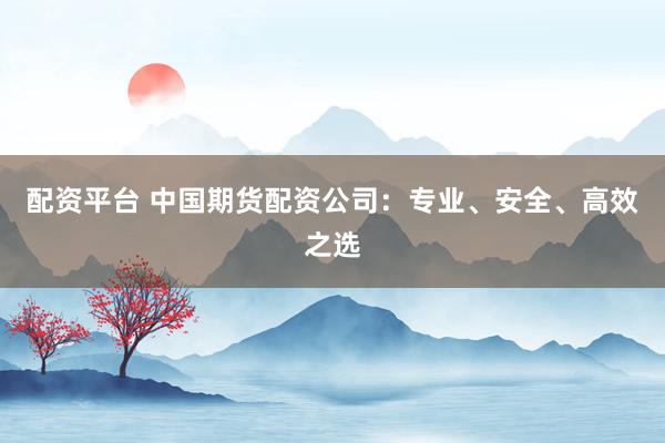 配資平臺 中國期貨配資公司：專業(yè)、安全、高效之選