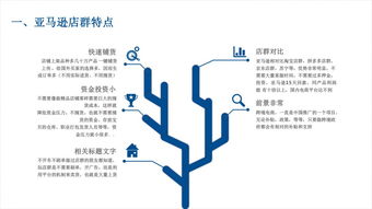 亞馬遜無貨源模式如何操作,真的月入幾萬 亞馬遜erp系統(tǒng)定制